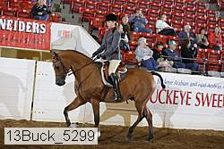 13buck_5299 proof