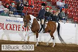 13buck_5300 proof