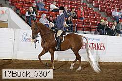 13buck_5301 proof