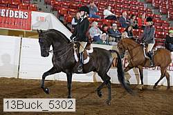 13buck_5302 proof