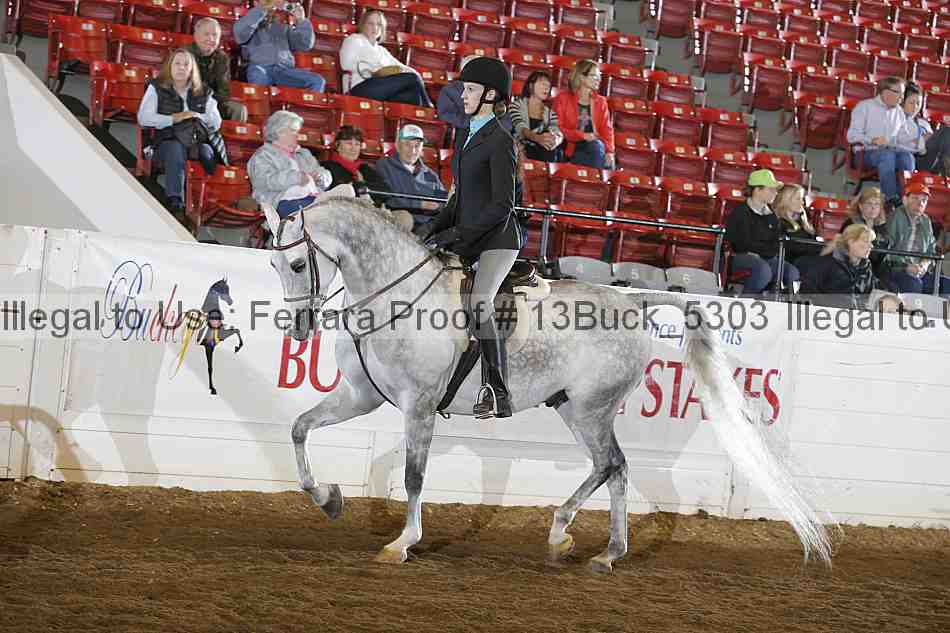 Proof 13buck_5303