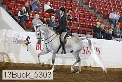 13buck_5303 proof