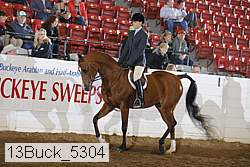 13buck_5304 proof