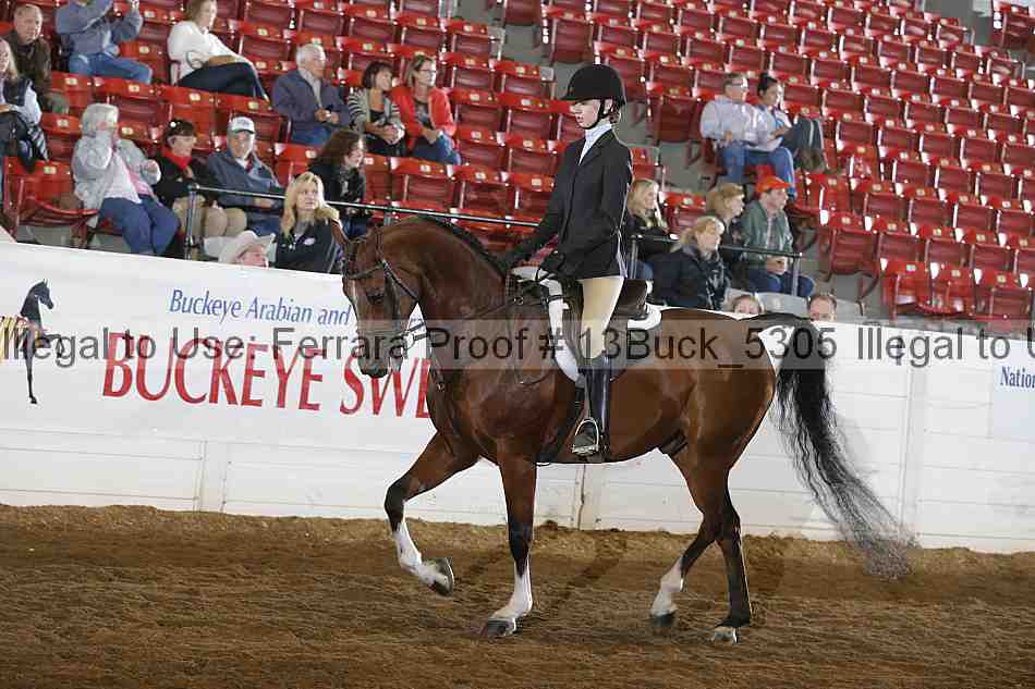 Proof 13buck_5305