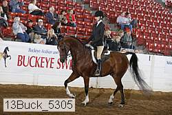 13buck_5305 proof