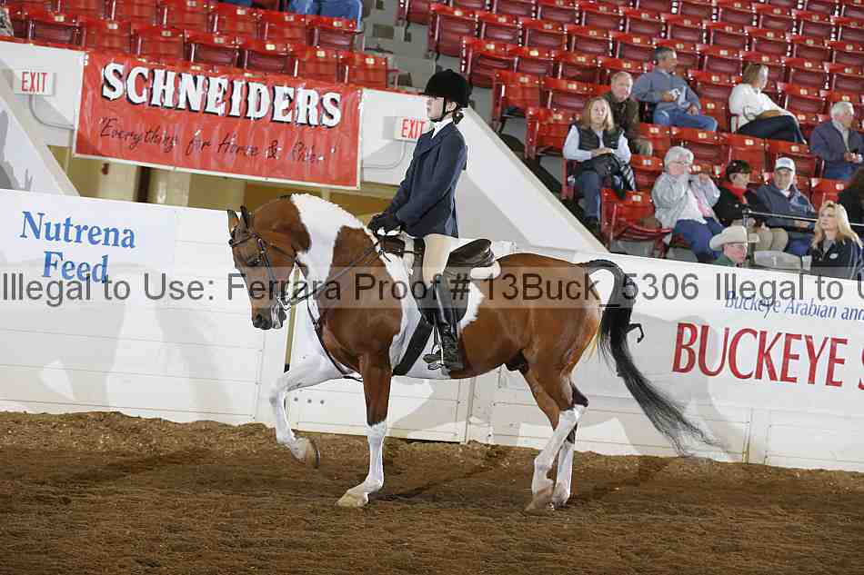 Proof 13buck_5306