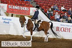 13buck_5306 proof