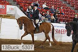 13buck_5307 proof