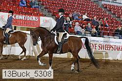 13buck_5308 proof