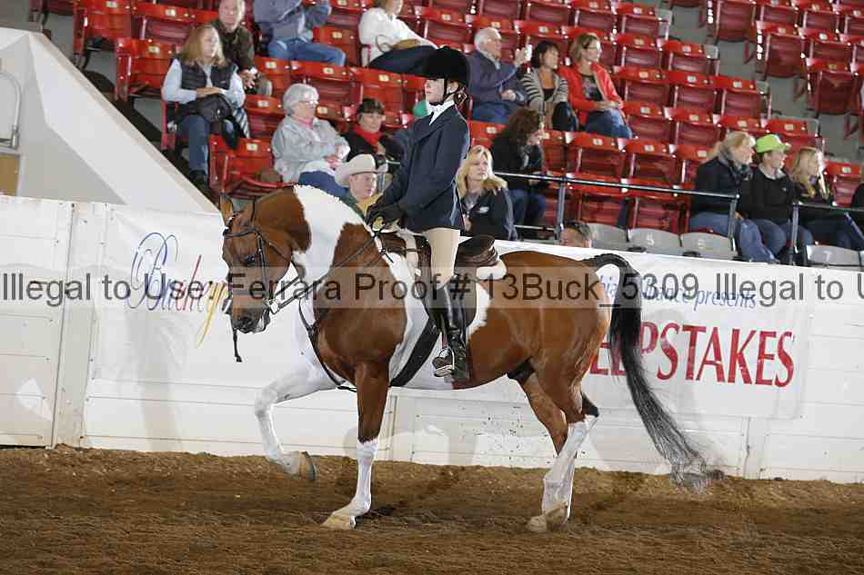 Proof 13buck_5309