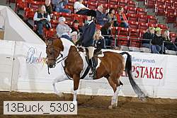 13buck_5309 proof