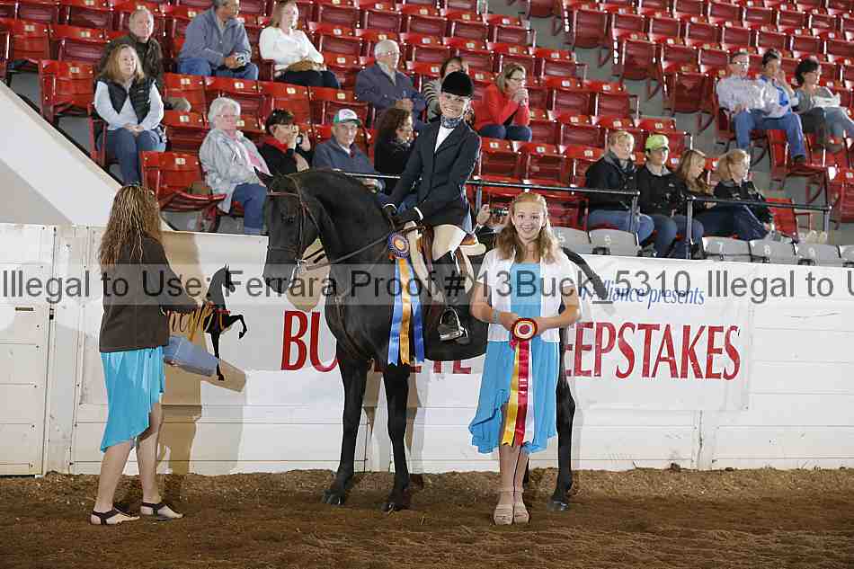 Proof 13buck_5310