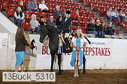 13buck_5310 proof