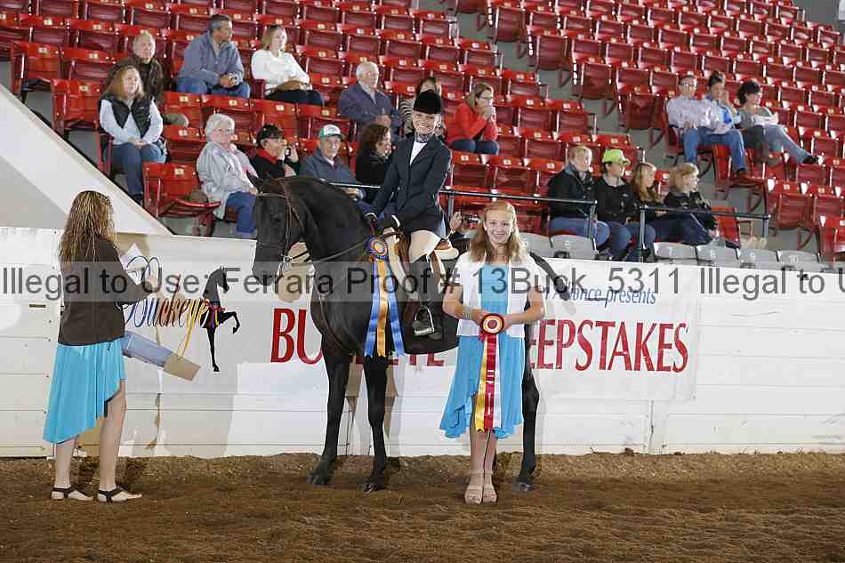 Proof 13buck_5311