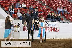 13buck_5311 proof