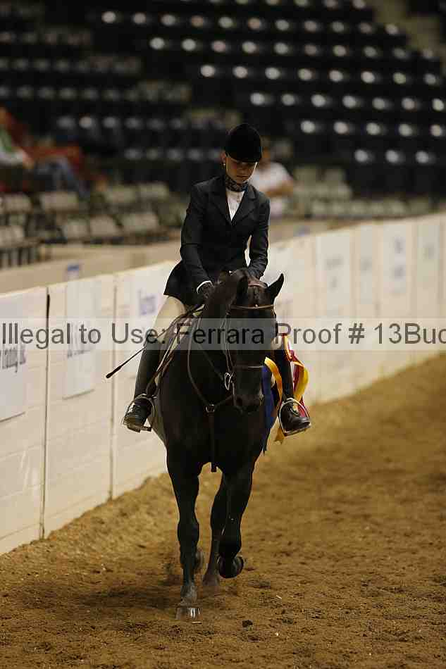 Proof 13buck_5312