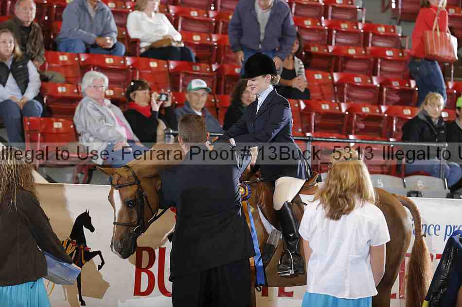 Proof 13buck_5313