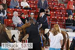 13buck_5313 proof