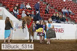 13buck_5314 proof