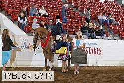 13buck_5315 proof