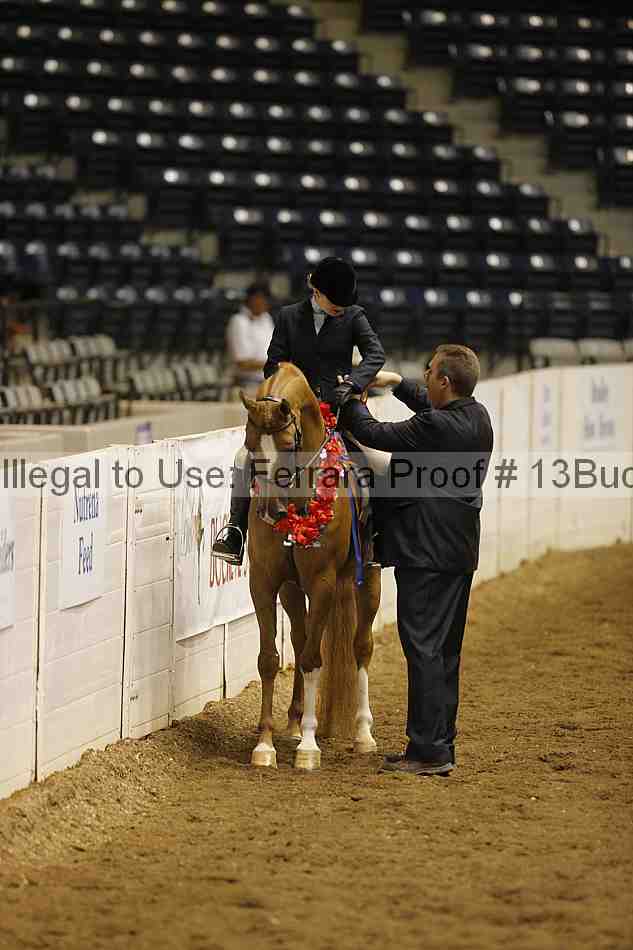 Proof 13buck_5317