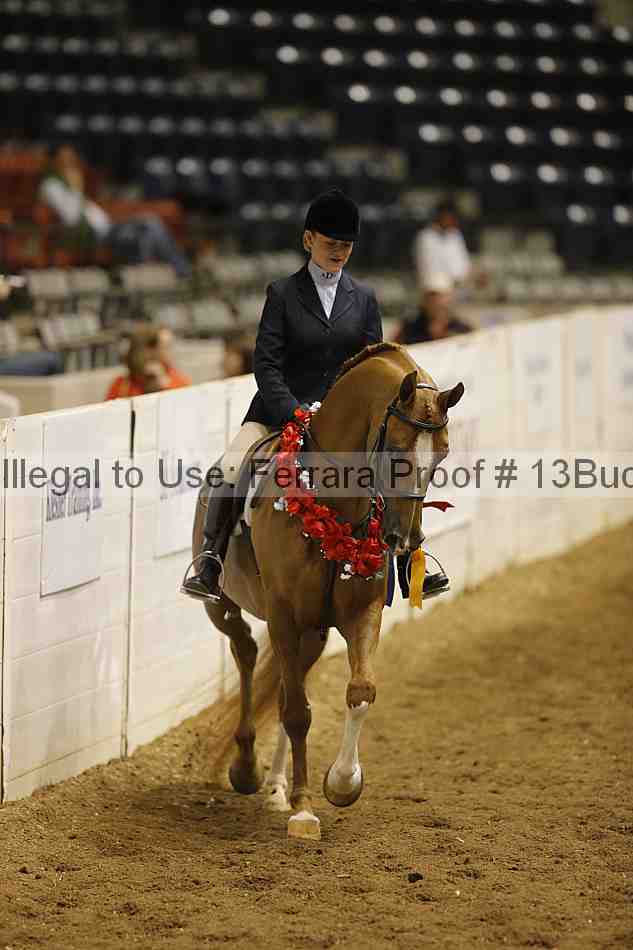 Proof 13buck_5318