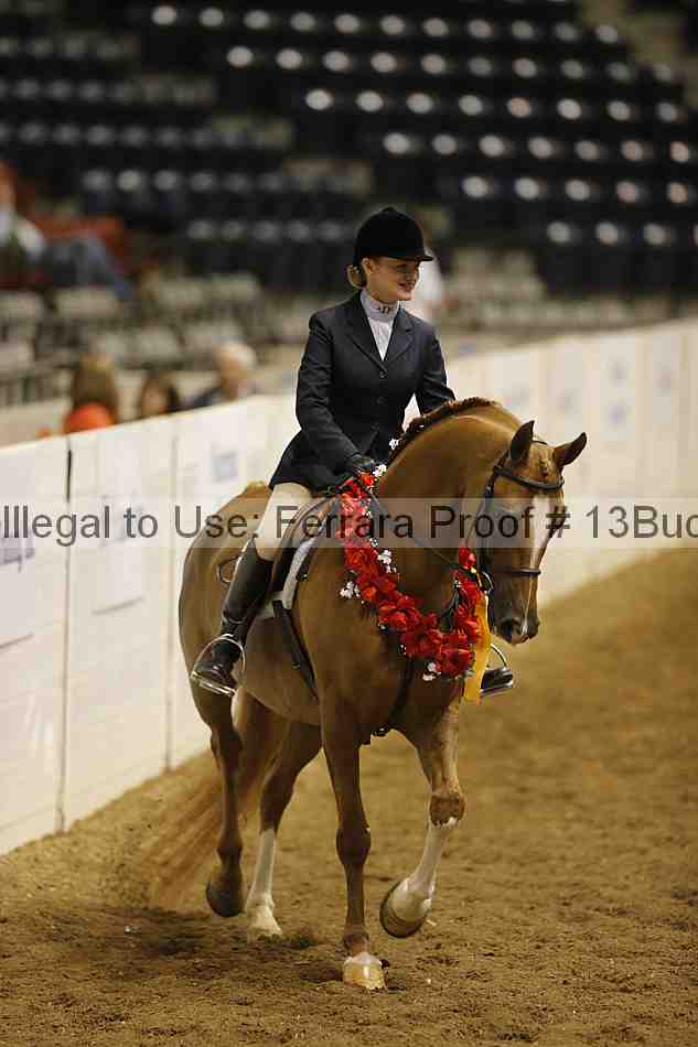 Proof 13buck_5319