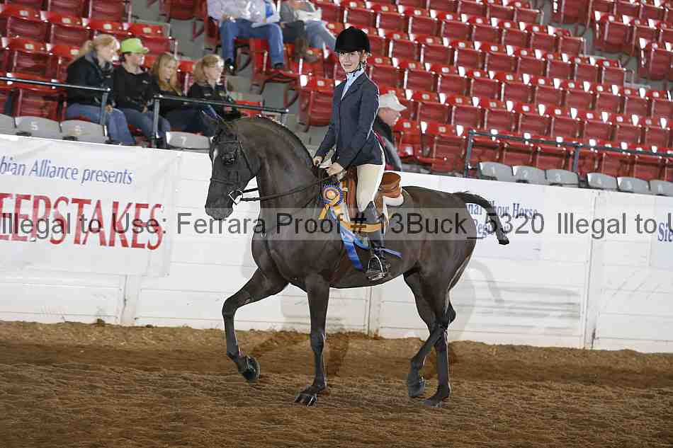 Proof 13buck_5320