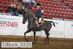 13buck_5320 proof