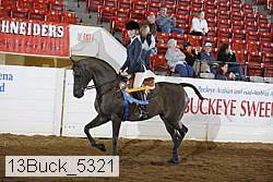 13buck_5321 proof