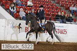 13buck_5322 proof