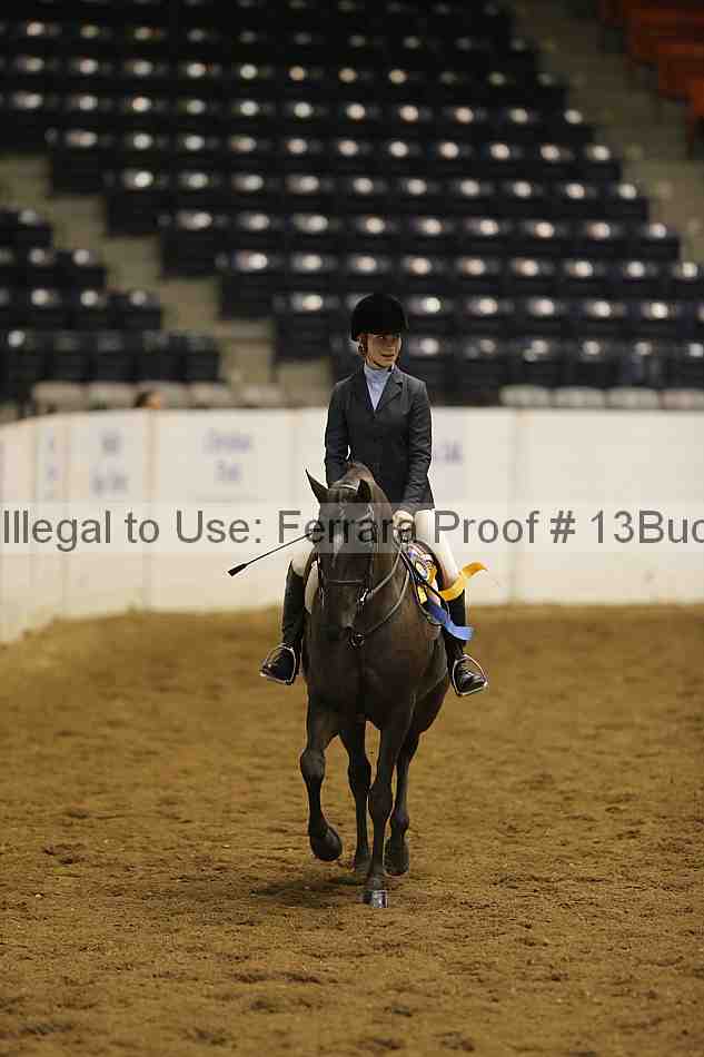 Proof 13buck_5323