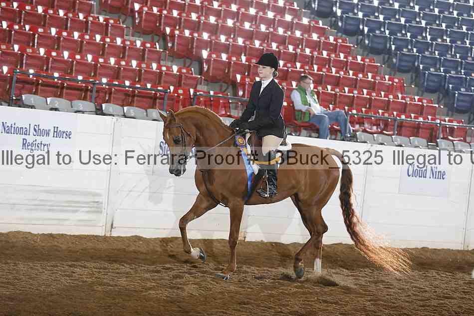 Proof 13buck_5325