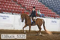 13buck_5325 proof