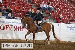 13buck_5326 proof