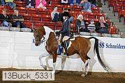 13buck_5331 proof