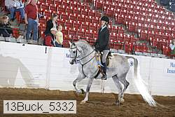 13buck_5332 proof