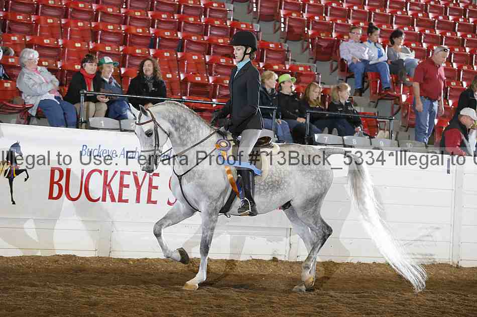 Proof 13buck_5334