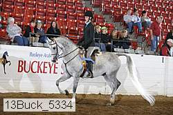 13buck_5334 proof