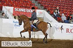 13buck_5336 proof
