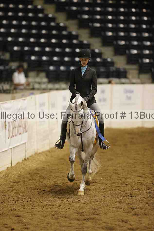 Proof 13buck_5337