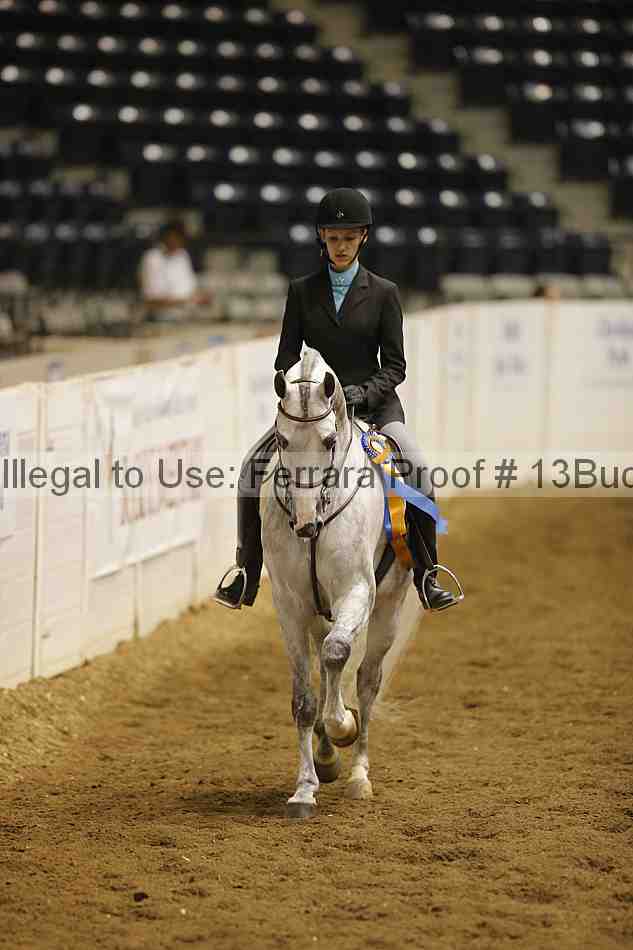 Proof 13buck_5338