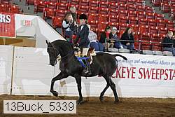 13buck_5339 proof