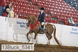 13buck_5341 proof