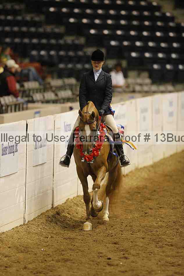 Proof 13buck_5346