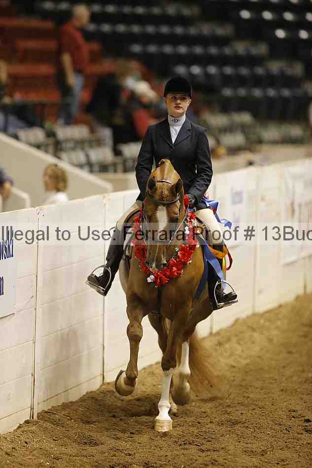 Proof 13buck_5347