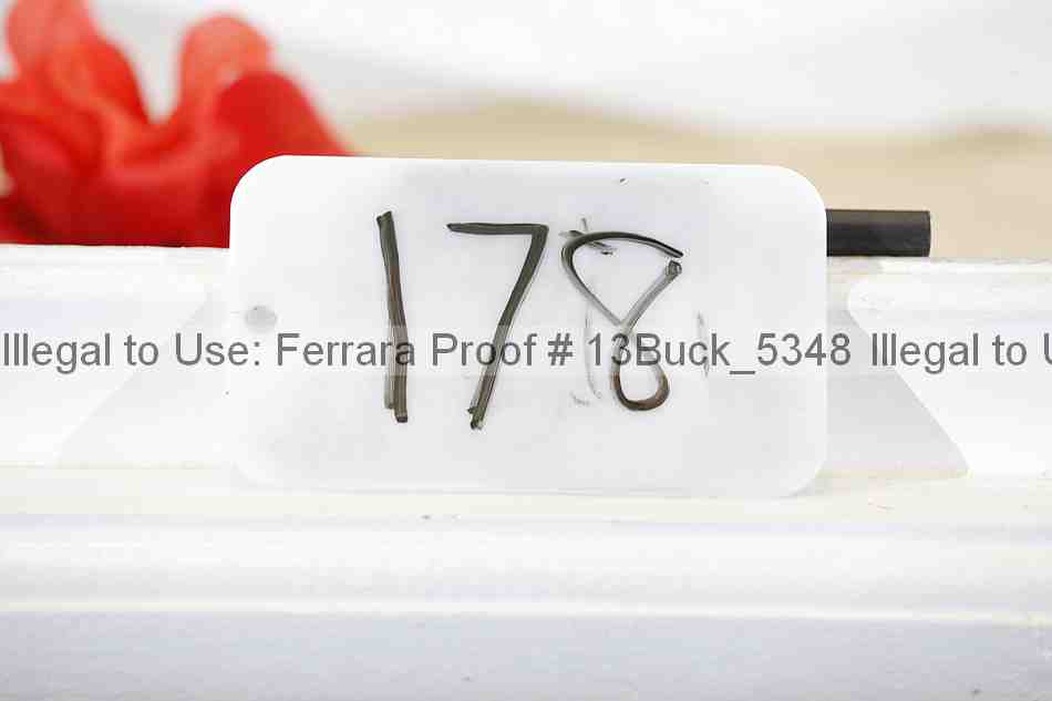 Proof 13buck_5348