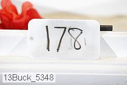 13buck_5348 proof