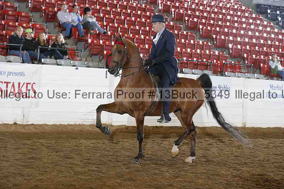 Proof 13buck_5349
