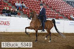 13buck_5349 proof